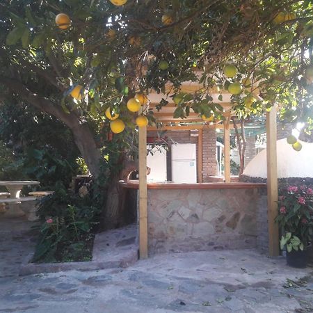 Finca Los Aguacates Trapiche  المظهر الخارجي الصورة