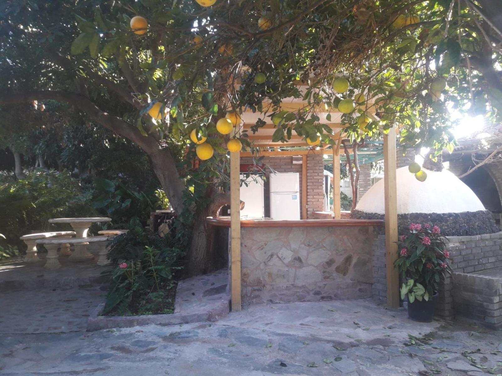 Finca Los Aguacates Trapiche  المظهر الخارجي الصورة